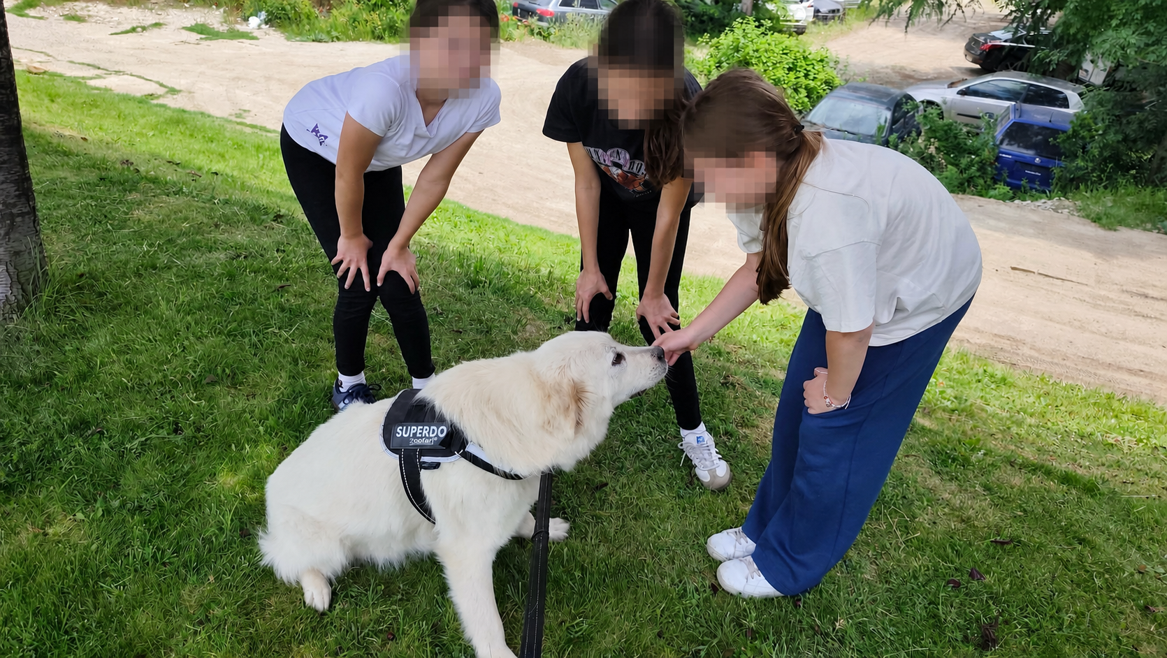 Arthur, a large white rescued dog, with the children's faces obscured for privacy