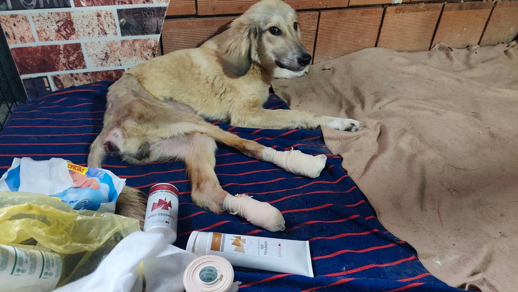 Lisa receiving daily wound care